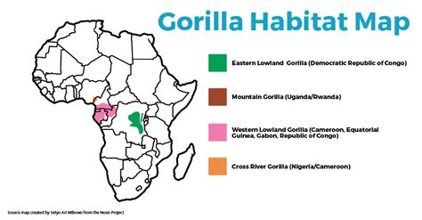 Gorilla Habitat Map | See The Wild