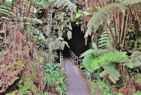 Nāhuku - Thurston Lava Tube in Hawaii Volcanoes National Park