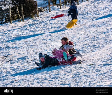 Four children having fun sliding down a slope on a sledge in Winter ...