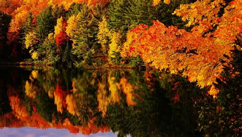 Autumn Reflections: A Stunning 4K Ultra HD Nature Wallpaper