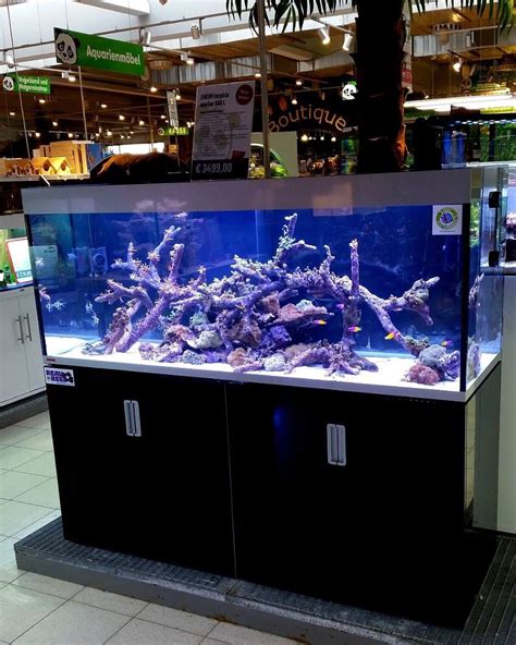 Aquascape Real Reef Rock - Aquascape Ideas