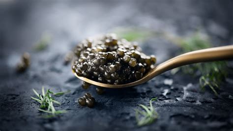 This Is The Most Expensive Caviar In The World