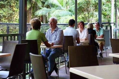 Tamborine Rainforest Skywalk - Scenic Rim