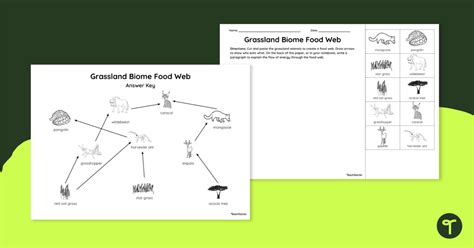 Grassland Biome Food Web - Cut and Paste Worksheet | Teach Starter