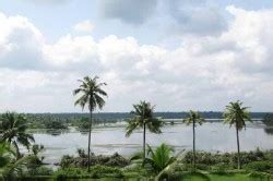 Kayamkulam Lake - Just Kerala