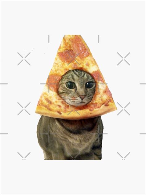 "Pizza Cat" Sticker for Sale by HermS67 | Redbubble