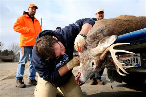 What CWD Researchers Can't Say on the Record | Outdoor Life