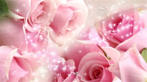 Download Flower Wallpaper Hd Images Best Of Love And Warmth - Rose Pink ...