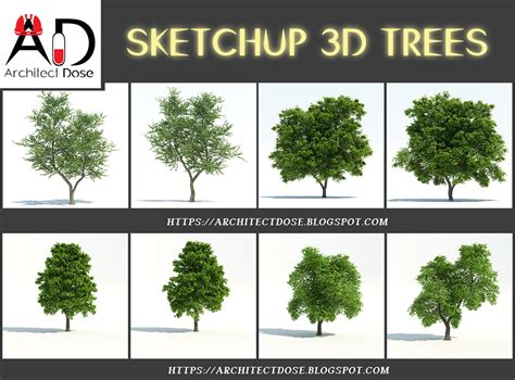 SKETCHUP 3D TREES :: Behance