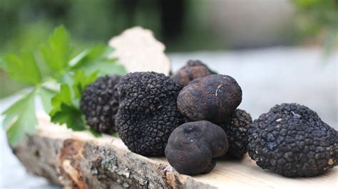 The secret of how to cook black truffles. - YouTube