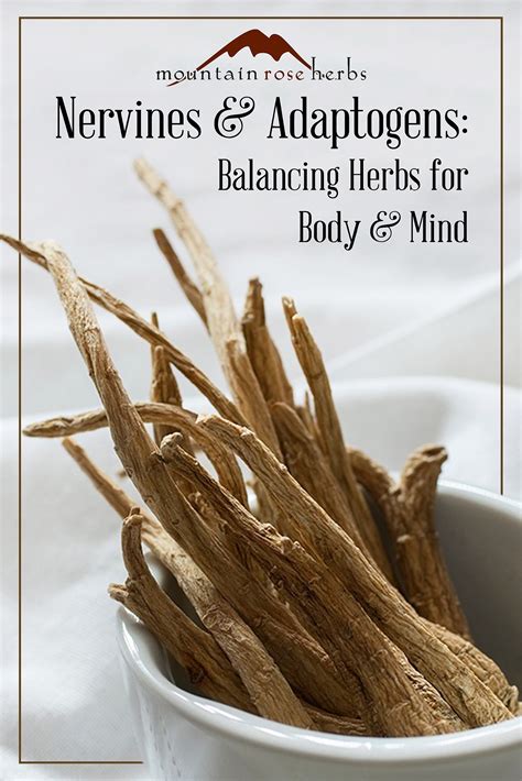 Understanding Nervines & Adaptogens: Herbs for Stress & the Nervous ...