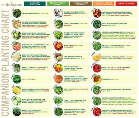 Gardening Companion Planting Chart Printable