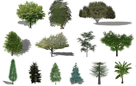 Refresh the Greenery in your Renders with this Free Library of Plants ...