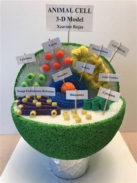 Building A Cell Project