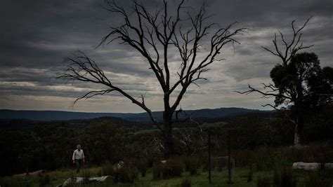 Kinglake: The town that boasts the highest number of home owners in ...