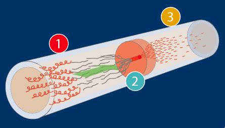 Step 1: Shearing of DNA - DOE Joint Genome Institute