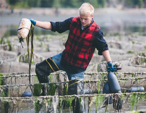 Our Farms | Taylor Shellfish Farms, Seattle WA