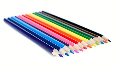 Colored Crayons To Paint At School Vector, Colored Crayons, Animated ...