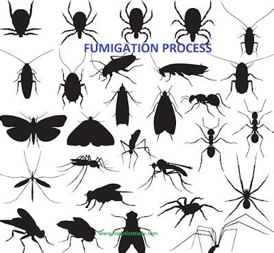 FUMIGATION PROCESS