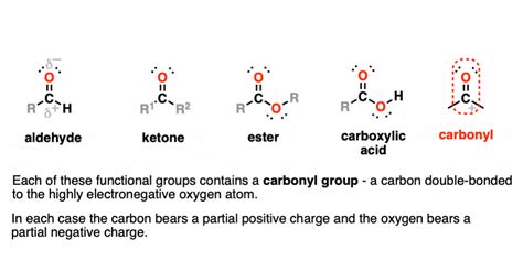 Ester Functional Group Examples