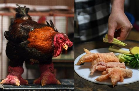 Giant legs of Vietnam's 'dragon chicken' a Lunar New Year delicacy ...