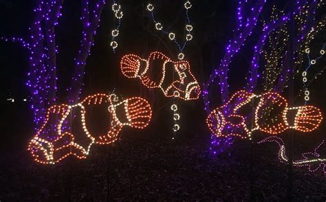 Bellingrath Gardens Christmas Lights - Dauphin Island Beach Rentals