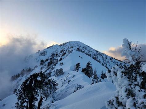 MT BALDY RESORT - Updated January 2025 - 624 Photos & 490 Reviews ...