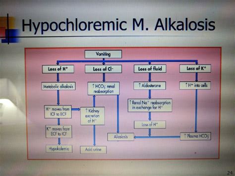 Hypochloremic metabolic alkalosis | Metabolic alkalosis, Metabolism, Renal