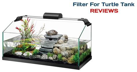 This post is about the Best Filter For A Turtle Tank. These filters do ...