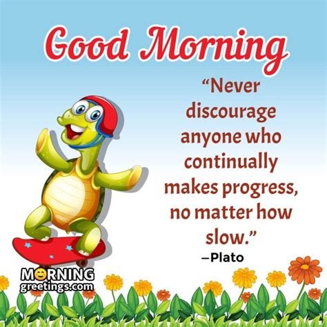 15 Good Morning Turtle Quotes And Saying - Morning Greetings – Morning ...