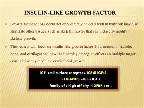 INSULIN-LIKE GROWTH FACTOR