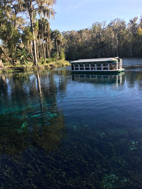 October visit to Silver Springs, now a Star Park. Original glass bottom ...