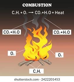 Types Chemical Reactions Combustion Reaction Diagram Stock Illustration ...