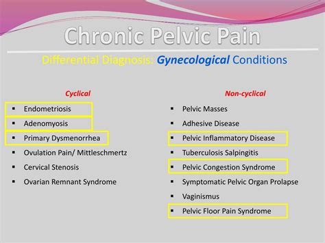 PPT - Chronic Pelvic Pain PowerPoint Presentation, free download - ID ...