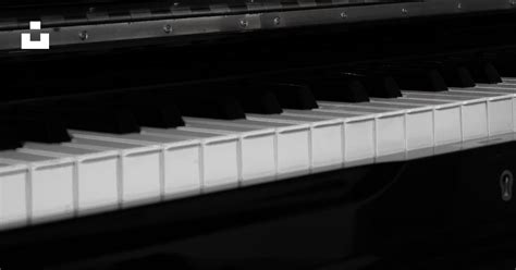 A black and white keyboard photo – Free Piano Image on Unsplash