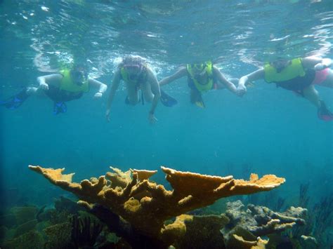 Freeport Kayak Snorkeling Tour/ Bahamas Cruise Excursions