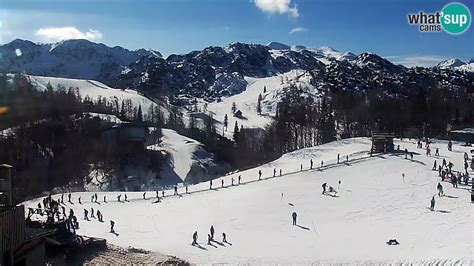 Ski resort Bohinj-Vogel - Webcam - TopSkiResort.com