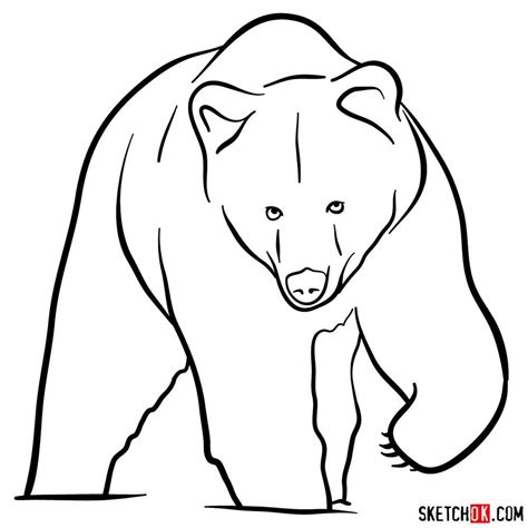 Grizzly Bear Drawing