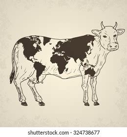 Geography Cow Cow World Map Stock Illustration 123120364 | Shutterstock