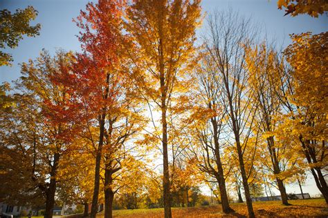 Fall Foliage trip to New Hampshire 2011 | taken by Anthony Q… | Flickr