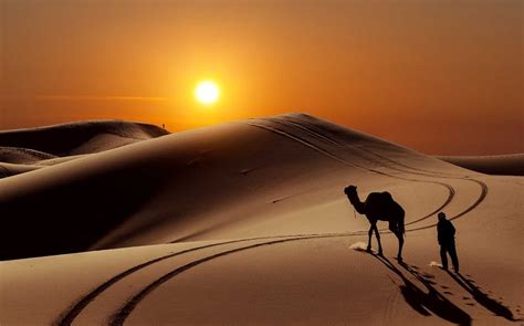 The Most Beautiful Desert Landscapes Of The World | Bored Panda