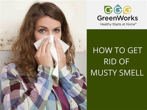 20 Best Musty Smell In Basement - basement tips