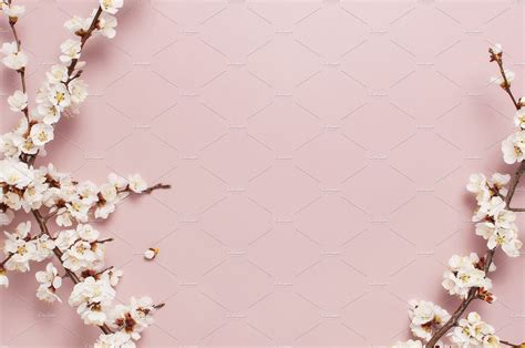 Spring Flower Border Backgrounds