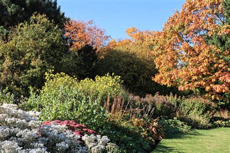 St Andrews Botanic Garden - Historic and Botanic Garden Training Programme