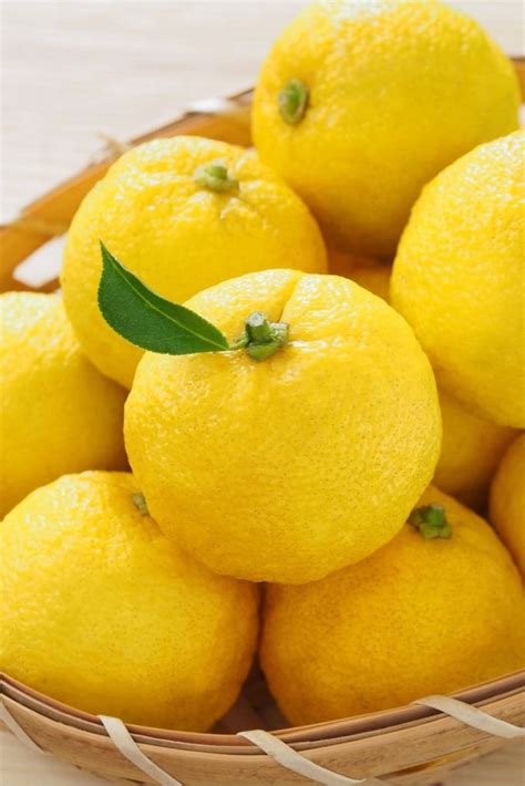 What is Yuzu and Common Ways to Use Yuzu