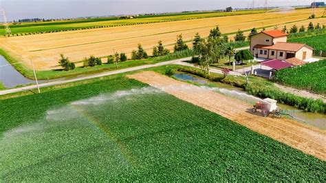 What is Irrigation? : 20+ Irrigation Methods Explained (Pros, Cons ...