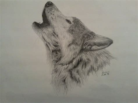 Howling Wolf Head Drawing at GetDrawings | Free download