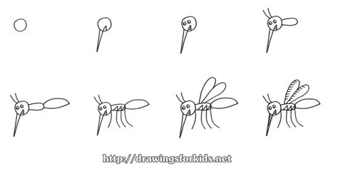 Mosquito Drawing at PaintingValley.com | Explore collection of Mosquito ...