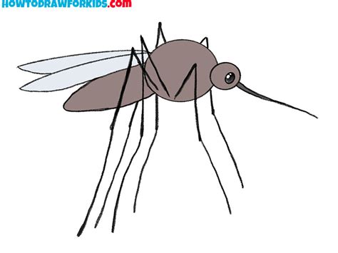 How to Draw a Mosquito - Easy Drawing Tutorial For Kids