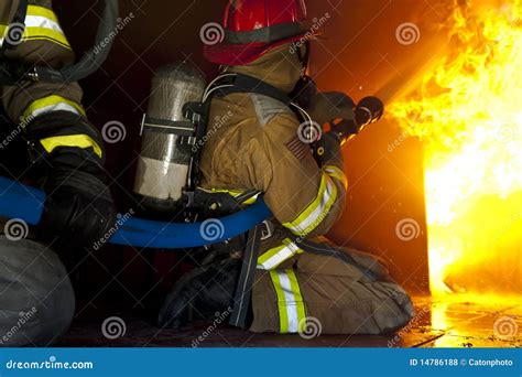 Fire training exercise stock photo. Image of heat, afraid - 14786188